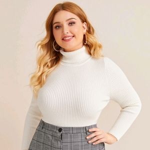 NWOT Rib-knit Turtleneck Sweater